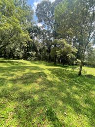 Land For Sale Karen Mwitu Estate Kikenni Road Karen Nairobi