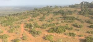 Residential Land For Sale Golini Road Kinondo Kwale