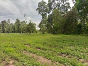 Commercial Property For Sale Nanyuki Laikipia