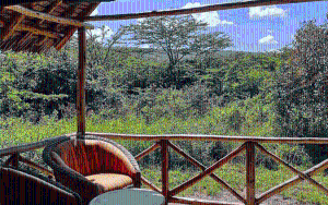 Commercial Property For Sale Kajiado Town Kaputiei North Kajiado