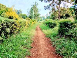Industrial Land For Sale Makuyu Muranga