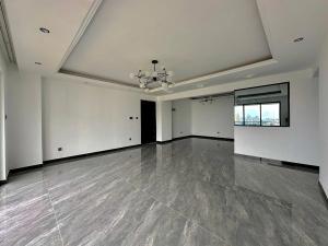 3 bedroom Apartment For Rent Along Othaya Road Lavington Nairobi