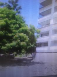 Land For Sale Mtwapa Kilifi