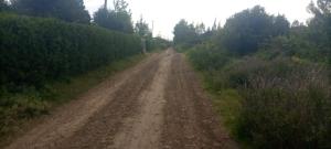 Commercial Property For Sale Nanyuki Laikipia