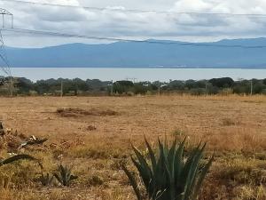 Land For Sale Naivasha Moi South Lake Rd Naiavsha Naivasha East Nakuru