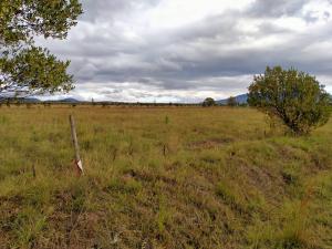 Land For Sale Naivasha Moi South Lake Rd Naiavsha Naivasha East Nakuru