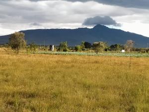 Land For Sale Moi South Lake Road Naivasha Naivasha Longonot. Naivasha East Nakuru