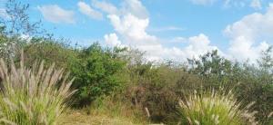Land For Sale Tatu City Ruiru Kiambu