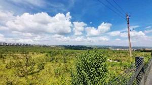 Land For Sale Tilisi Limuru Limuru Central Kiambu