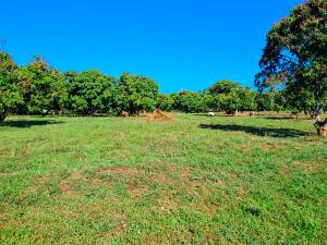 Land For Sale Malindi Airport Area Malindi Town Kilifi