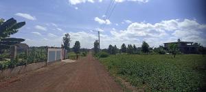 Land For Sale Ruiru Town Ruiru. Kiambu