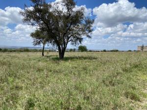 Land For Sale Daystar University Area Daystar Road Athi River Machakos