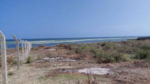 Land For Sale Watamu, Jacaranda Beach Jacaranda Beach. Watamu Kilifi