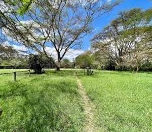 Mixed use Land For Sale Naiavsha Naivasha East Nakuru