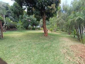 Land For Sale westlands Nairobi