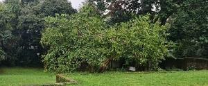 Residential Land For Sale Junction Of Elgeyo Marakwet Road And Kilungu Road Kilimani Nairobi