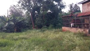 Residential Land For Sale Kiambu Road, Mushroom Gardens Township C Kiambu