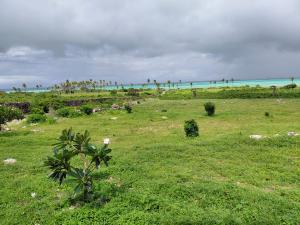 Mixed use Land For Sale Jacaranda Ocean Front Watamu Kilifi