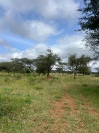 Land For Sale Ngatataek Namanga Road Kitengela Kajiado