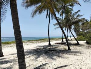 Land For Sale Tiwi, Kwale Beach Area Kinondo Kwale
