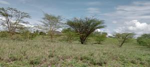 Land For Sale Isinya, Kiserian Road Kaputiei North Kajiado