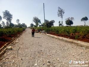 Land For Sale Runda Estate Nairobi Runda Westlands Nairobi