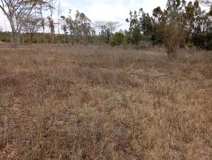 Land For Sale Matasia Ngong Kajiado