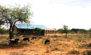 Land For Sale Namanga Kaputiei North Kajiado