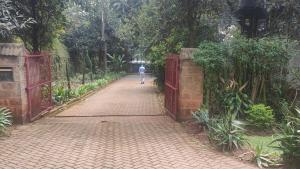 Land For Sale Karen Mwitu Estate Nairobi Karen 