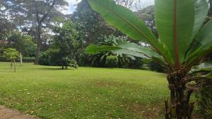 Land For Sale Karen Mwitu Estate Nairobi Karen 