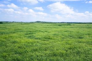 Land For Sale Katani Syokimau/Mulolongo Machakos
