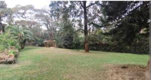 Land For Sale Lavington Nairobi