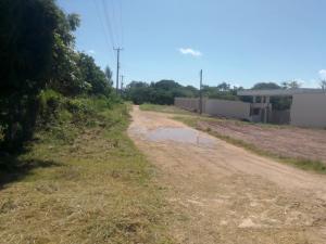 Land For Sale Vipingo, Beach Vipingo Beach. Mtwapa Kilifi