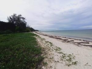 Land For Sale Malindi Cassorina Malindi. Malindi Town Kilifi