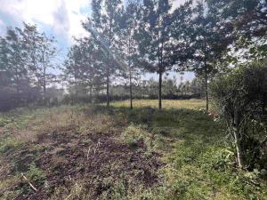 Land For Sale Rurigi Close Rimpa Ongata Rongai Kajiado