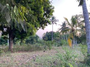 Land For Sale Budoi Kikambala Mtwapa Kilifi