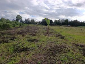 Land For Sale Kerarapon. Ngong Kajiado