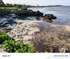 Land For Sale Malindi, Kivulini Area Malindi. Malindi Town Kilifi