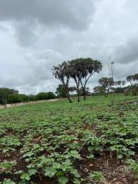 Land For Sale Diani Ukunda Kwale