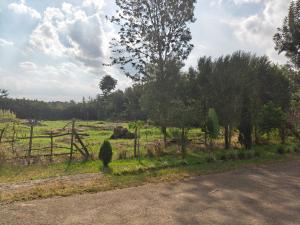 Residential Land For Sale Prime &frac12; Acre Land For Sale – Garden Estate Garden Estate Nairobi Central 