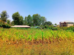 Residential Land For Sale Musa Gitau Gikambura Kikuyu Kiambu