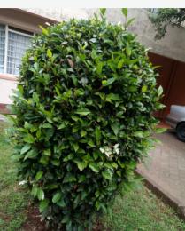 Land For Sale Kilimani Nairobi