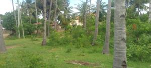 Land For Sale Watamu, Pawns Like Ocean Front Watamu Kilifi