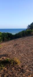 Land For Sale Bofa Beach Sokoni Kilifi