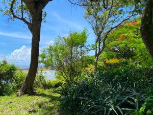Land For Sale Kuruwitu Beach Shimo La Tewa Kilifi