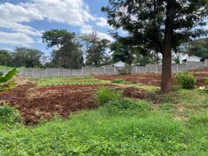Land For Sale Starehe Girls Centre njathaini Cianda Kiambu