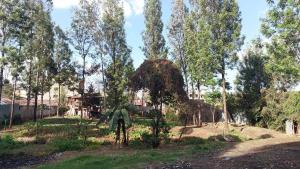 Land For Sale Kabiria Road Riruta Nairobi
