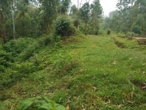 Land For Sale Kathiri, Kimunye Kerugoya Kirinyaga