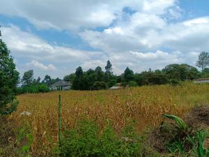 Residential Land For Sale Peponi View Villas Estate Neighborhood Kamangu Kikuyu Kiambu