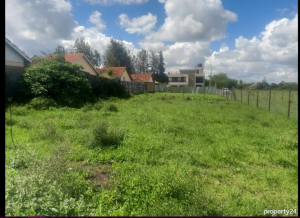 Land For Sale Ngong Ole Roimen Rd Ngong Kajiado
